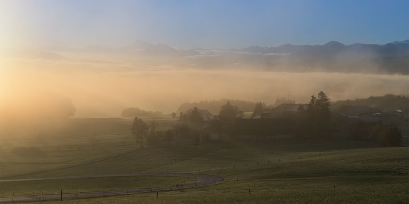 Haunsberg, Kaiserbuche 
