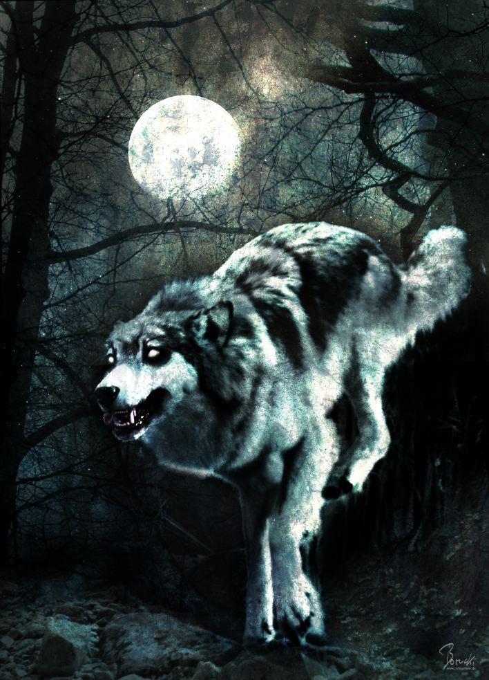 Haunted Wolf