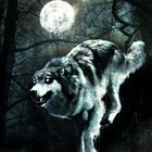 Haunted Wolf