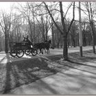 Hauptallee in Wien - Fiakerfahrt (klar alles ohne schnee!)