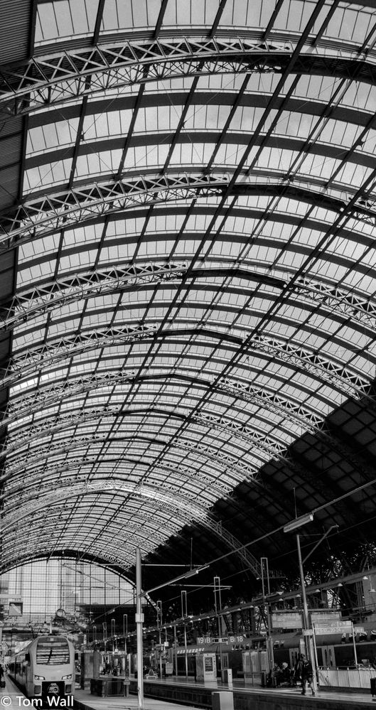 hauptbahnhof frankfurt dach architektur s/w