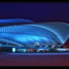 Hauptbahnhof Liège-Guillemins ... Ende einer Serie