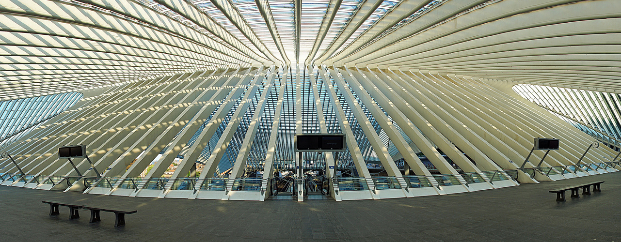 Hauptbahnhof Lüttich 4