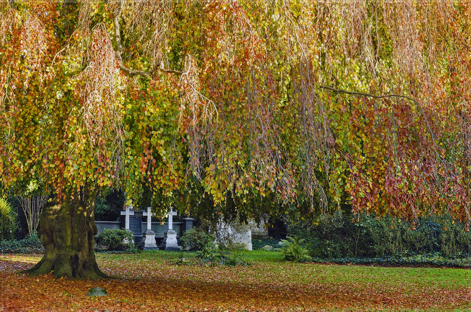 HAUPTFRIEDHOF