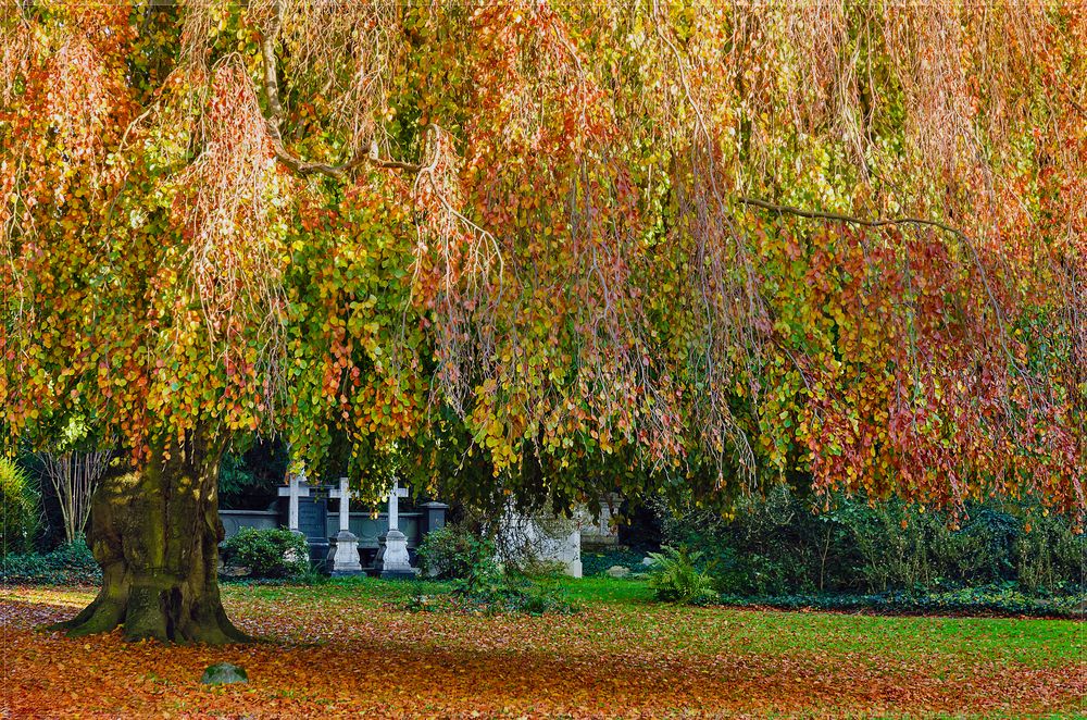 HAUPTFRIEDHOF