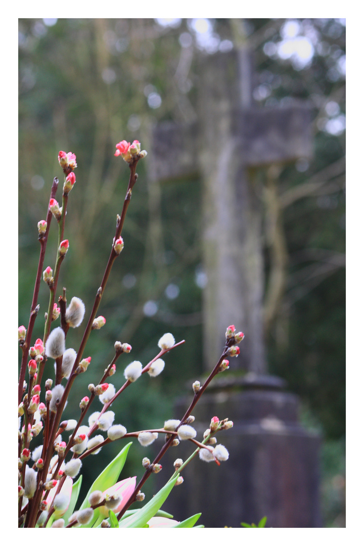 Hauptfriedhof FFM 3