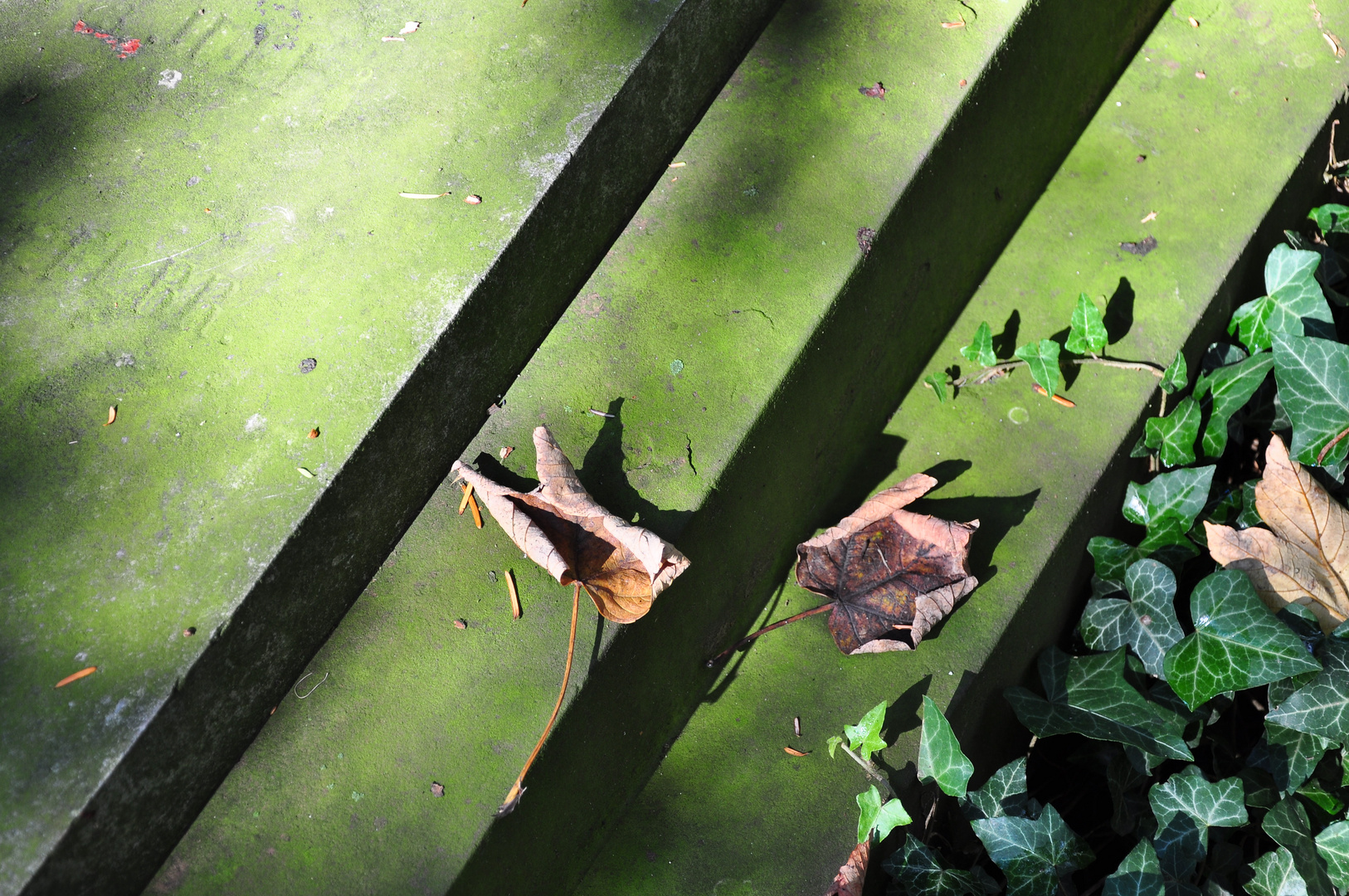 Hauptfriedhof im Herbst IV