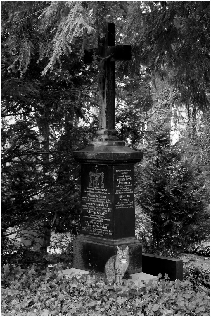 Hauptfriedhof Koblenz