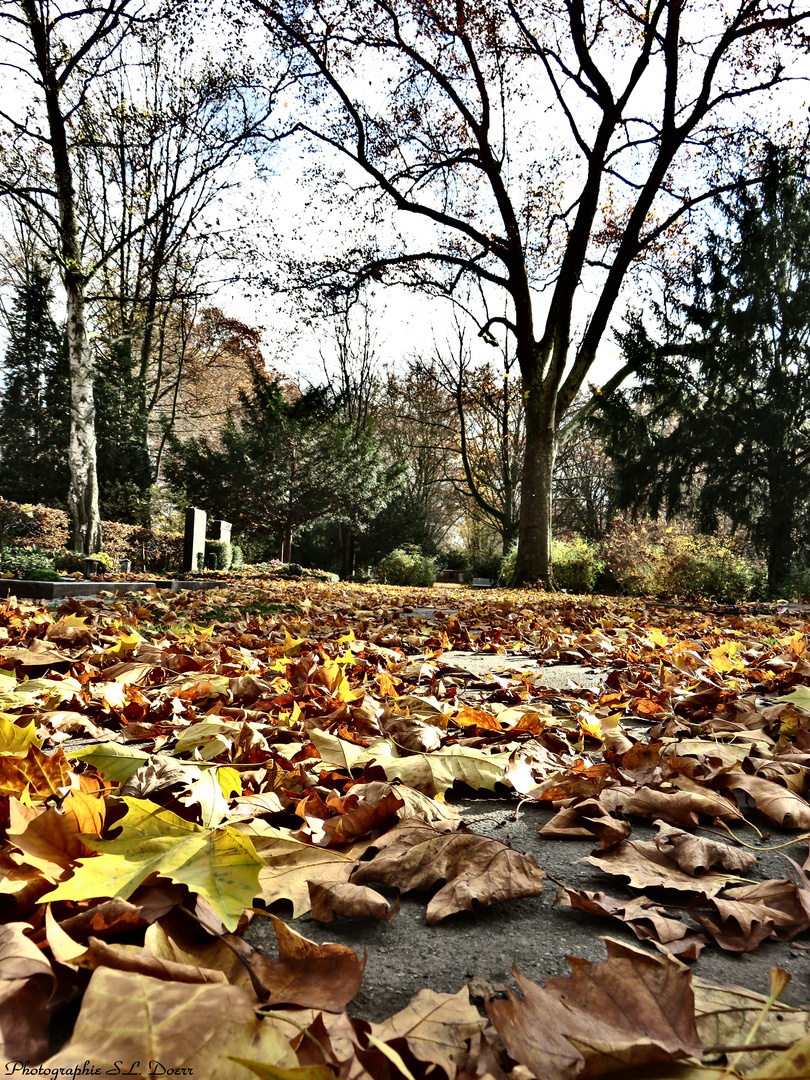 Hauptfriedhof Ludwigshafen