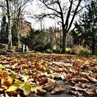 Hauptfriedhof Ludwigshafen