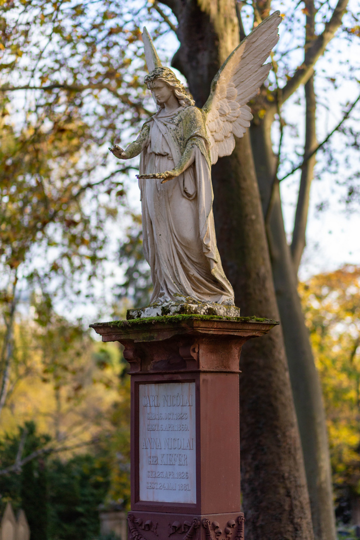 Hauptfriedhof Mainz 04
