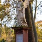 Hauptfriedhof Mainz 04