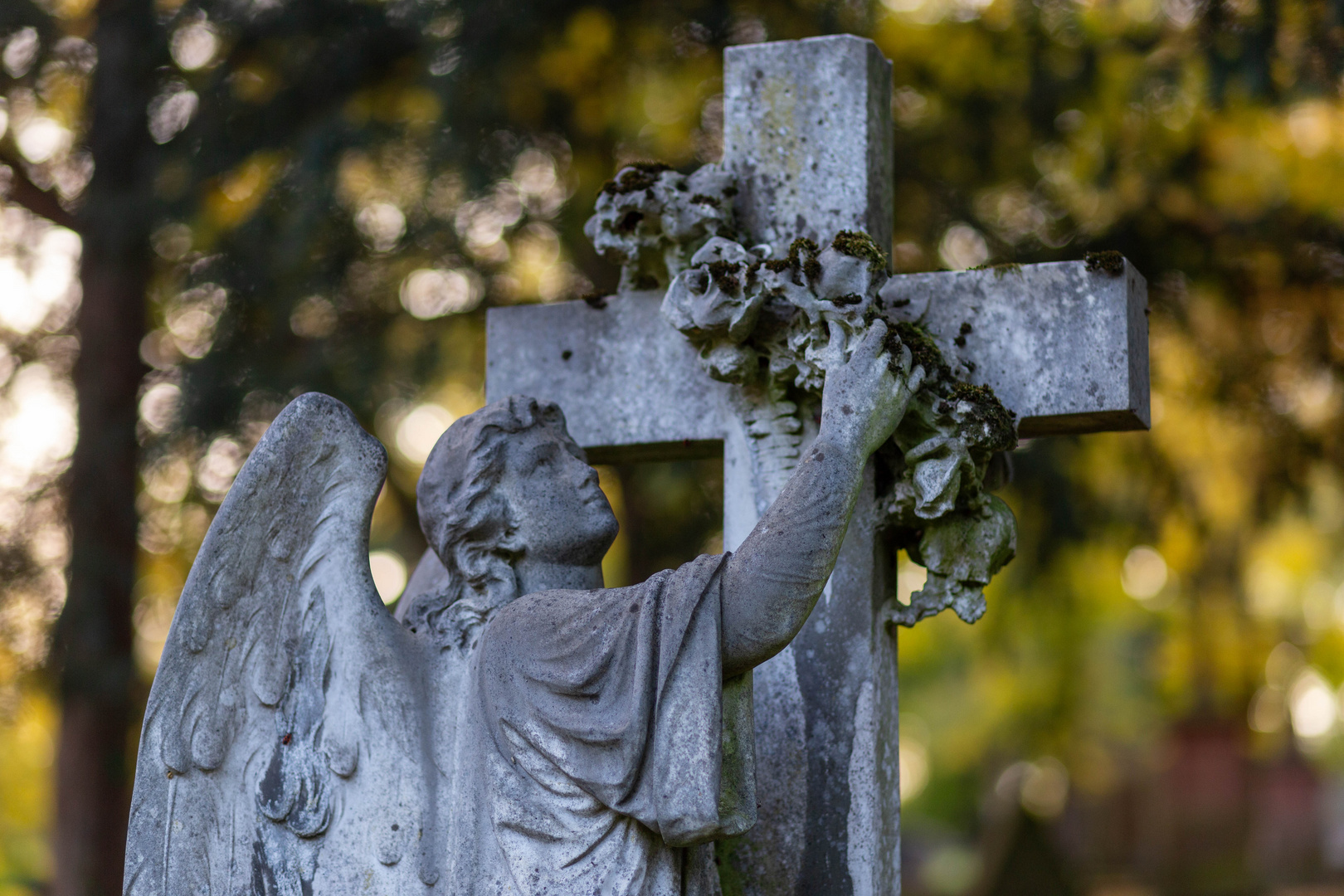 Hauptfriedhof Mainz 08