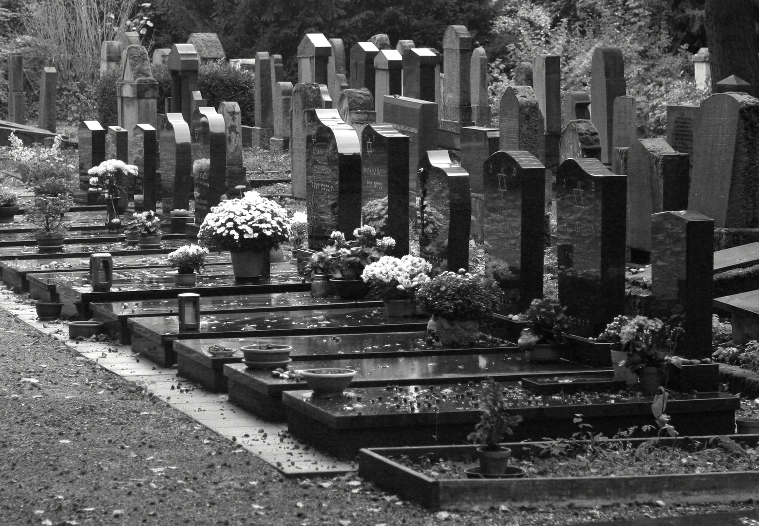 Hauptfriedhof Trier 3