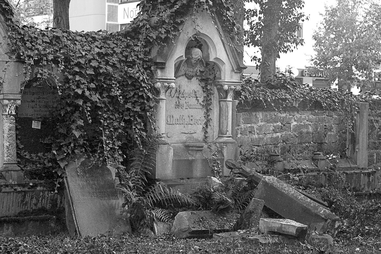 Hauptfriedhof Trier ( Vergänglichkeit )