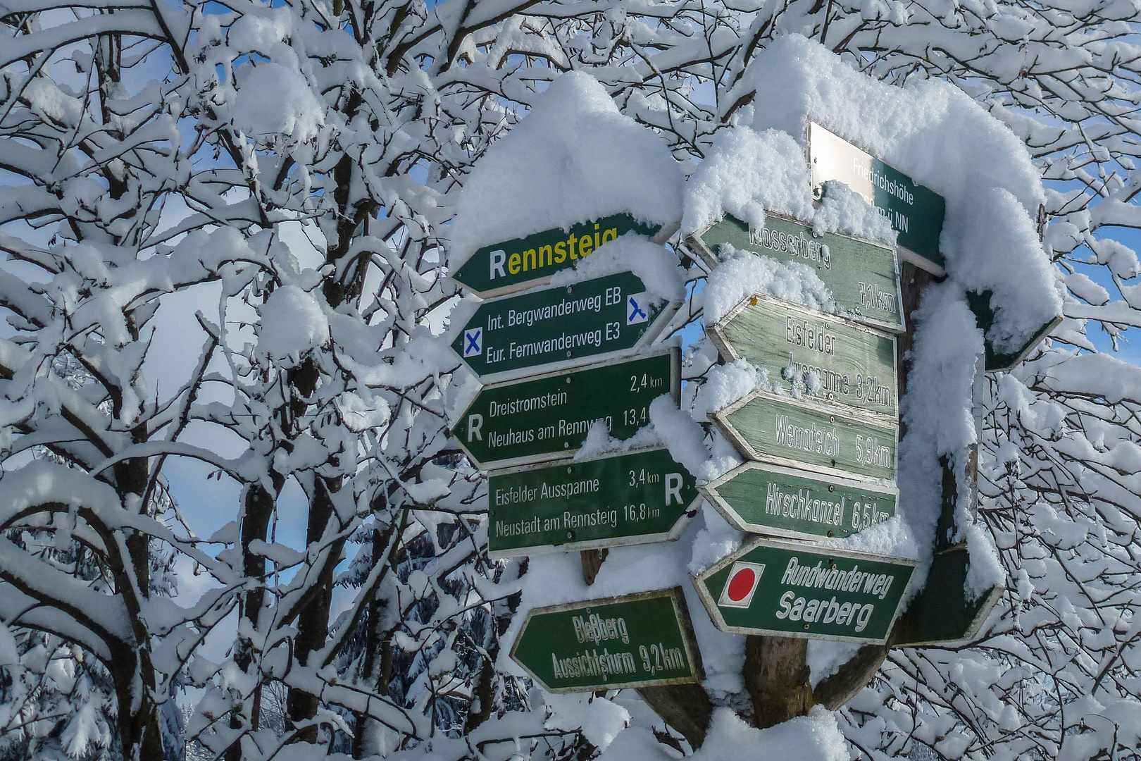 Hauptgewinn: Freie Auswahl