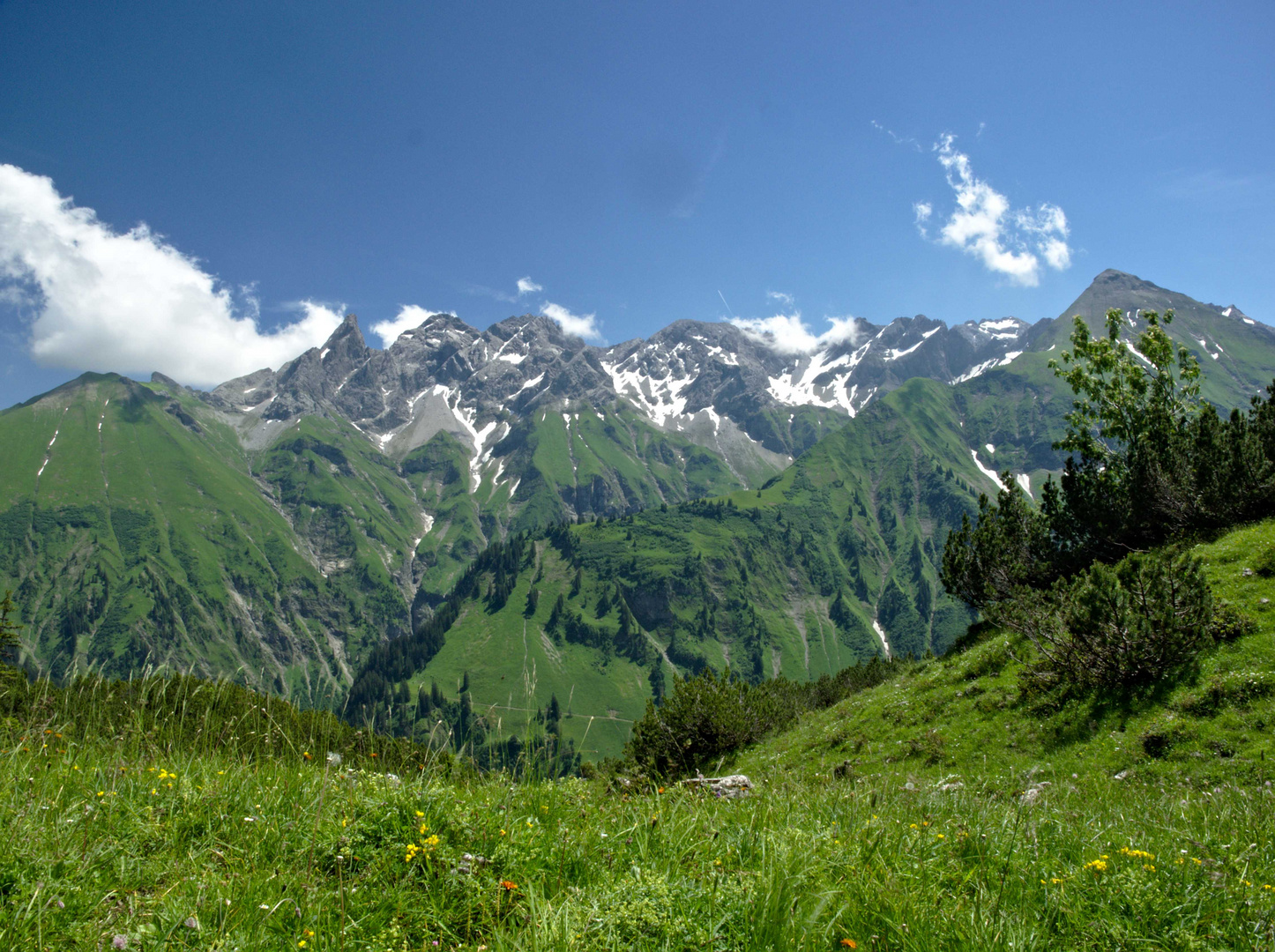 Hauptkamm der Allgäuer Alpen