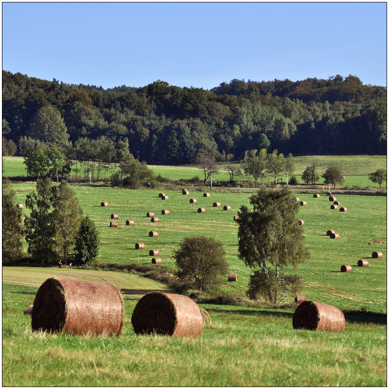 Hauptrollen und Nebenrollen