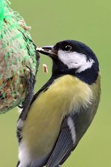 Hauptsache es schmeckt - oder?