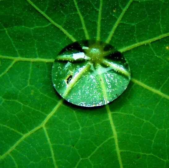 Hauptsache grün :-)