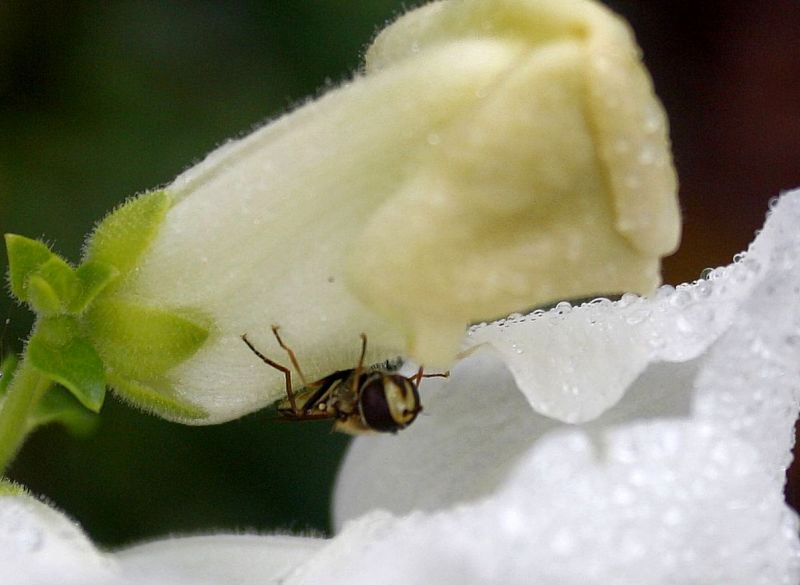 Hauptsache, im Trockenen