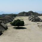 Hauptstadt der Zapoteken, Monte Alban