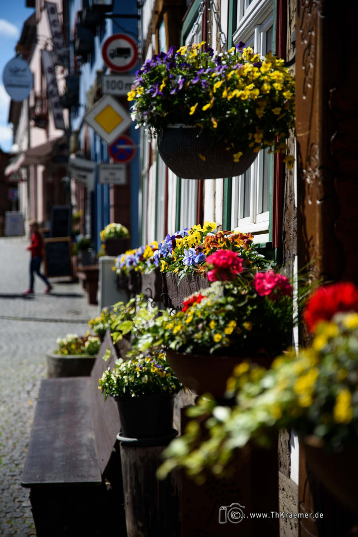 Hauptstr. von Tann - mit Blumendeko - D75_5727