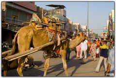 Hauptstrasse in Bikaner