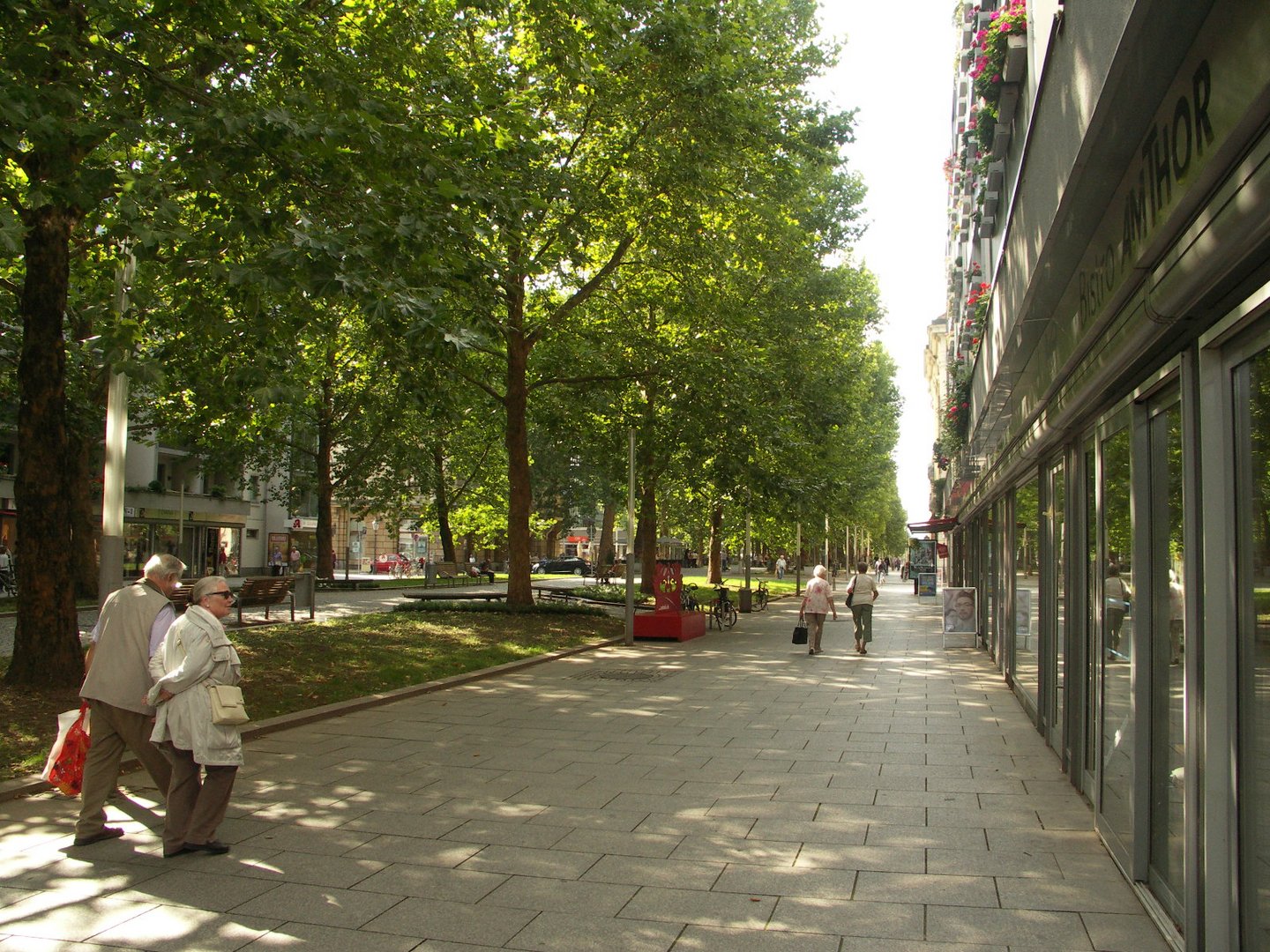 Hauptstrasse in Dresden