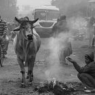 Hauptstraße von Rewari, Indien 2011