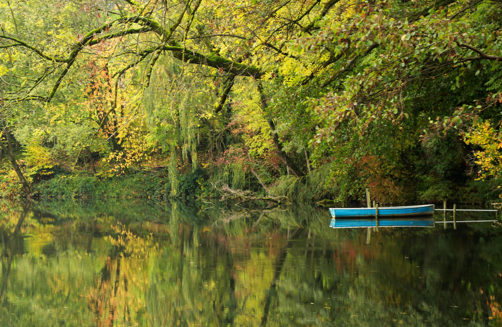 Hauptwiler Weiher