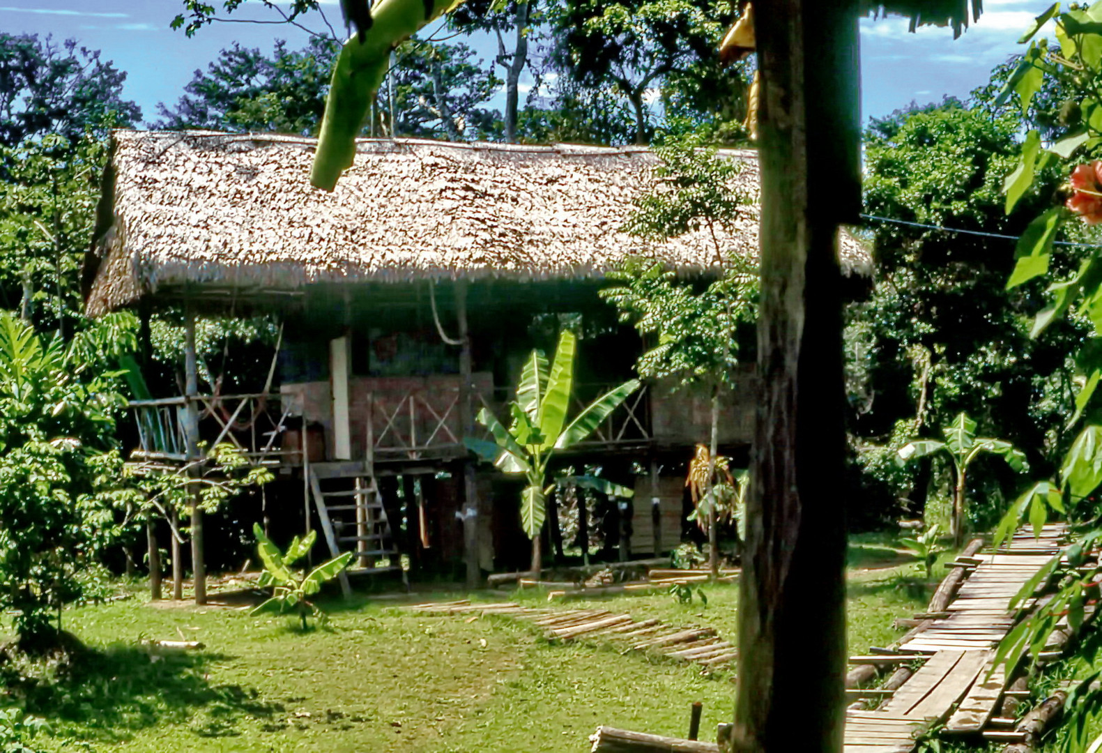 Haus am Amazonas