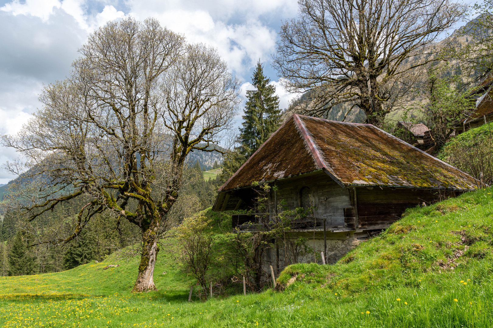 Haus am Berg