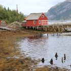 Haus am Fjord