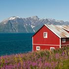 Haus am Fjord