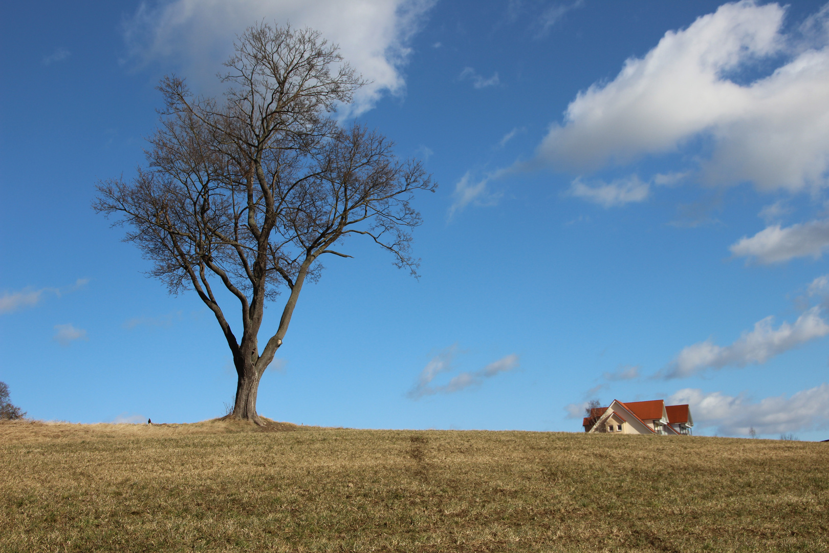 Haus am Horizont