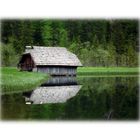 Haus am oder im See