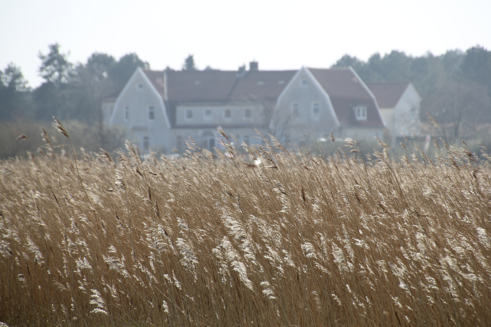 Haus am See