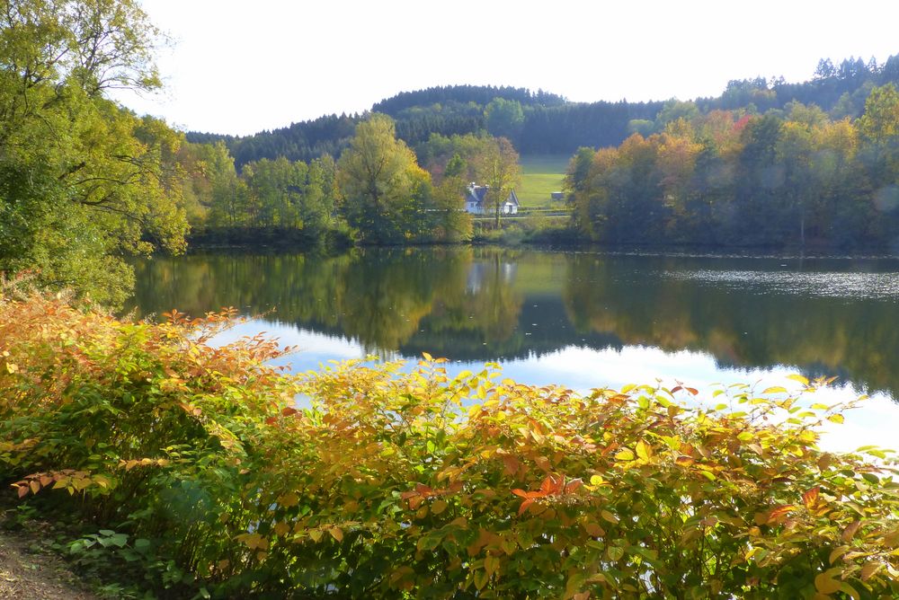 Haus am See