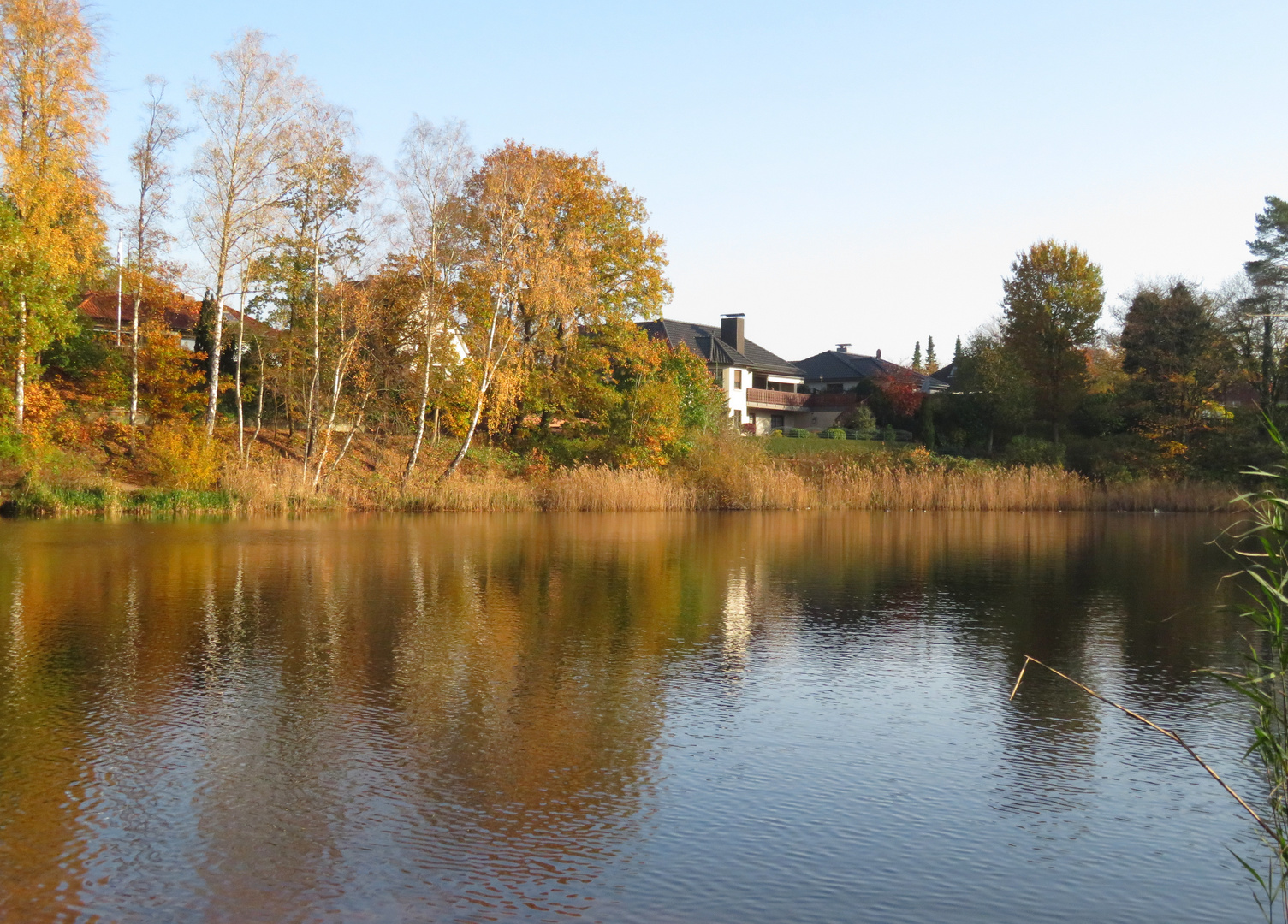 Haus am See 