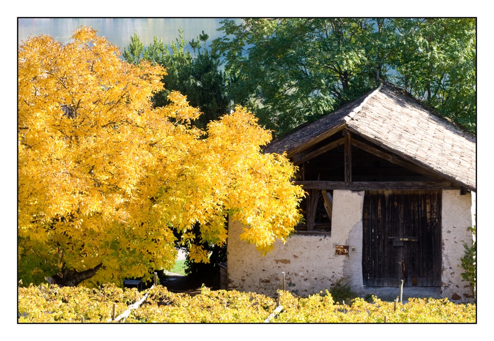 haus am see