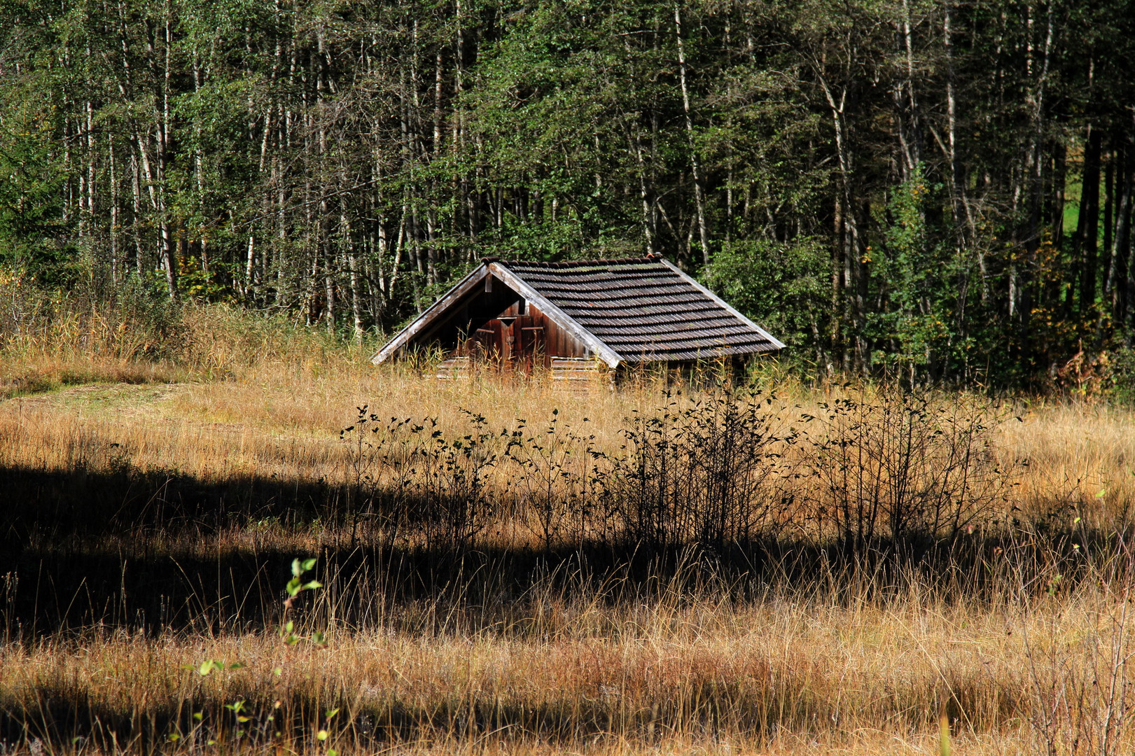 Haus am See