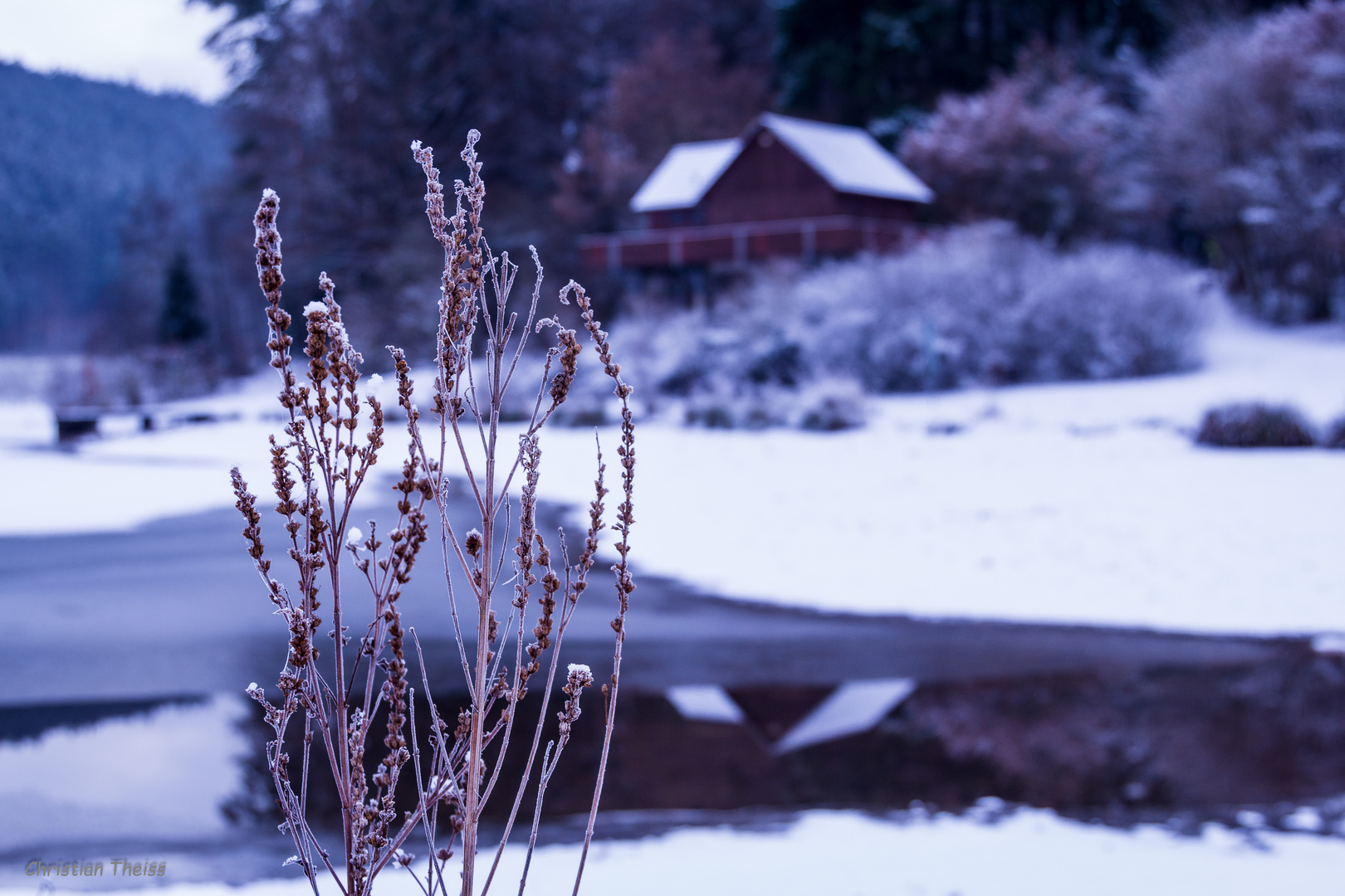 Haus am See