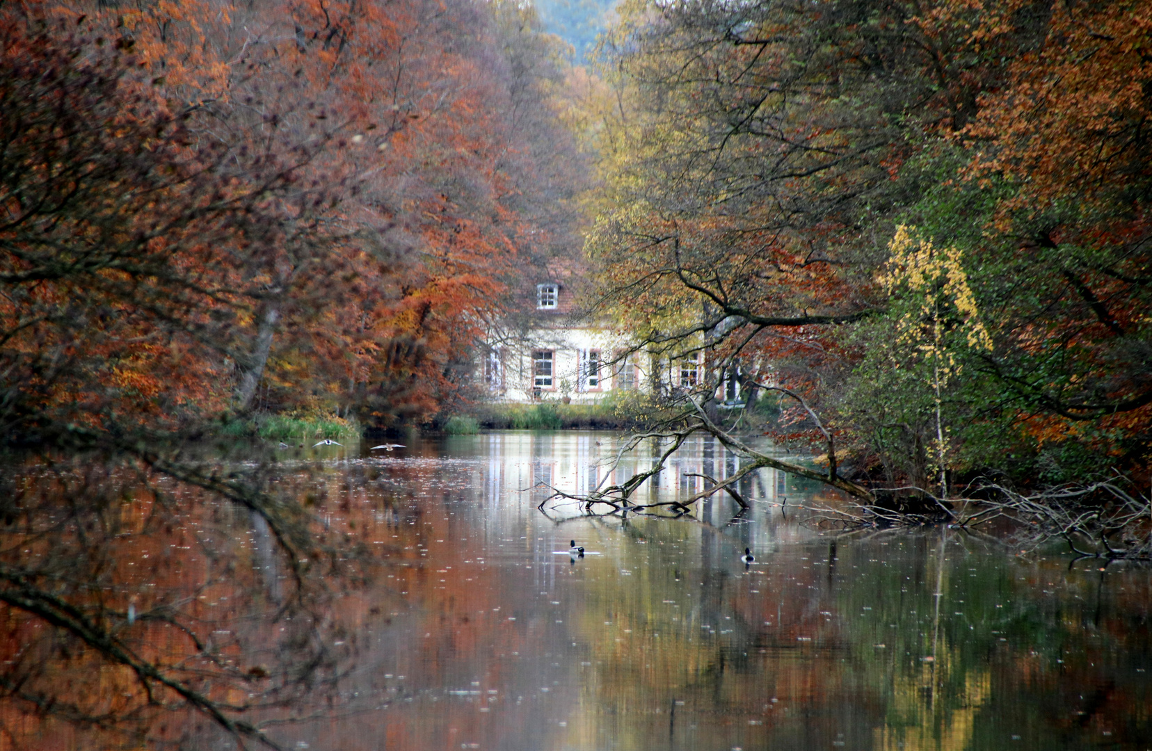 Haus am See