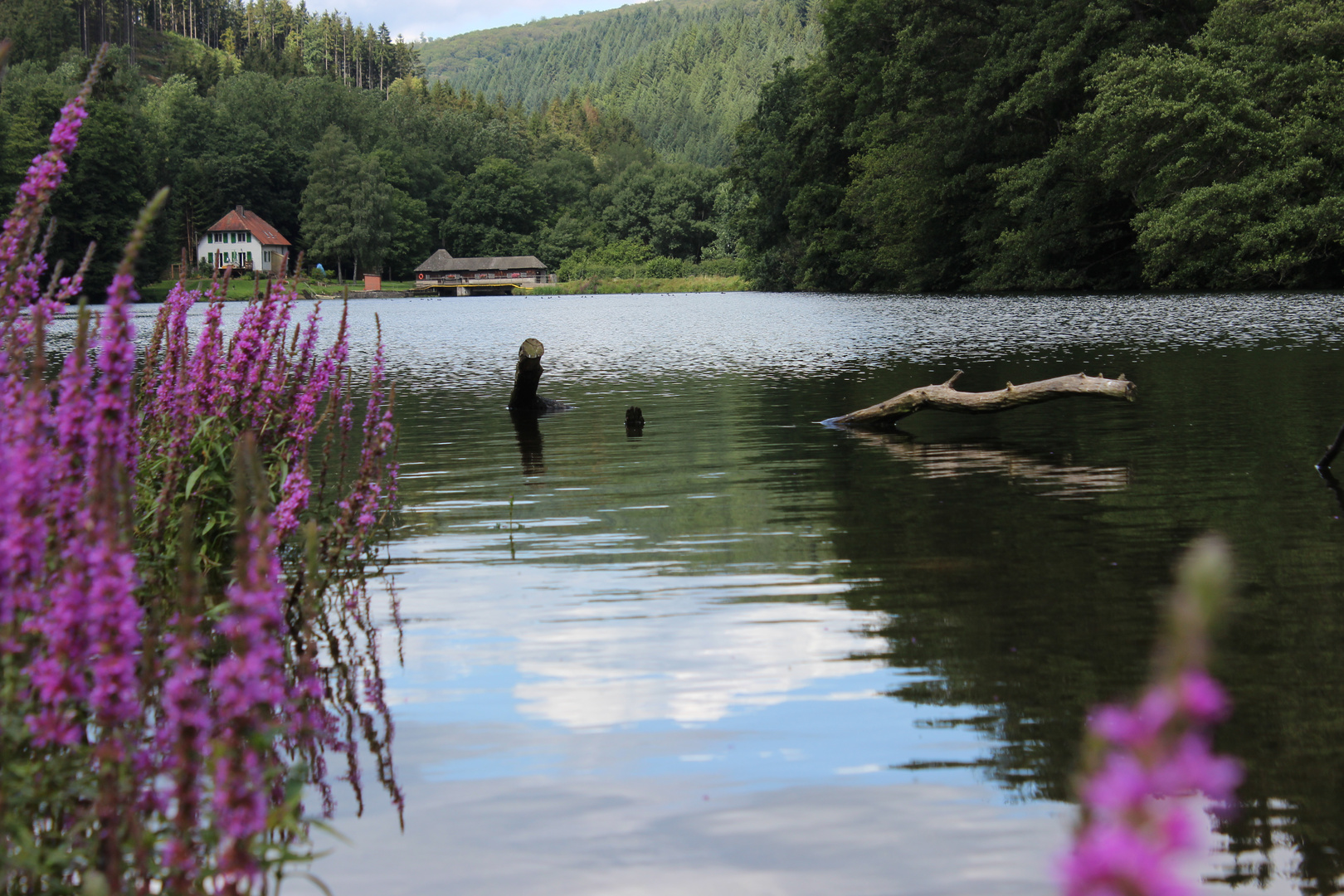 Haus am see