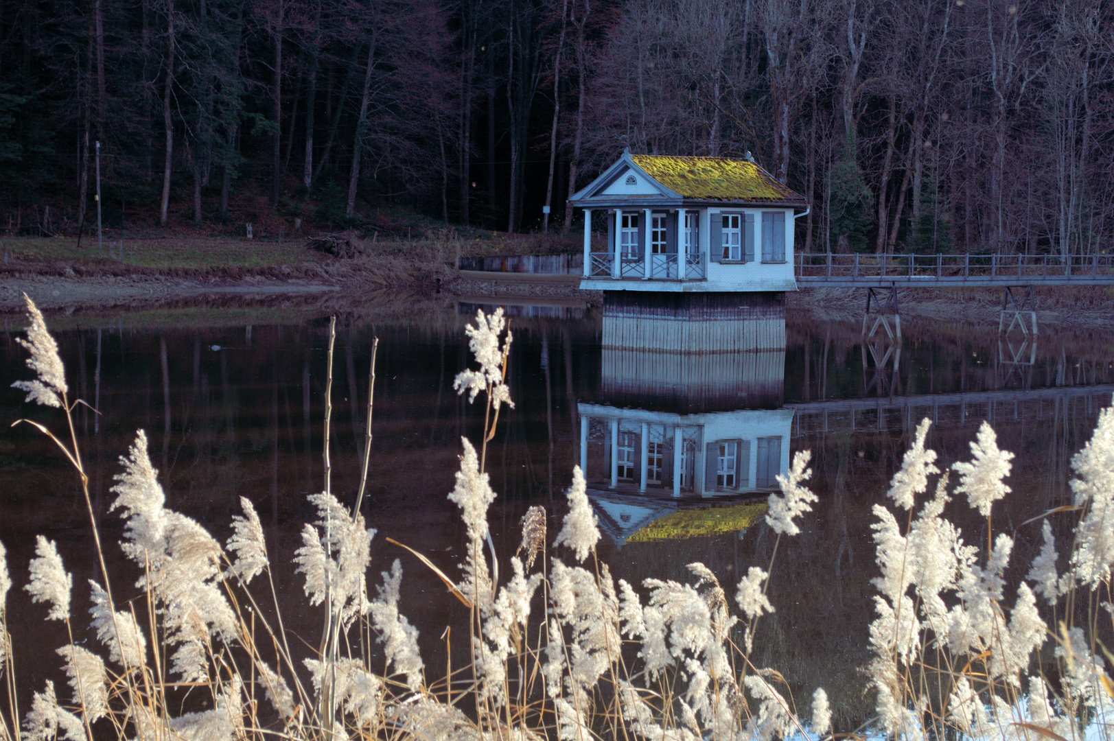 Haus am See