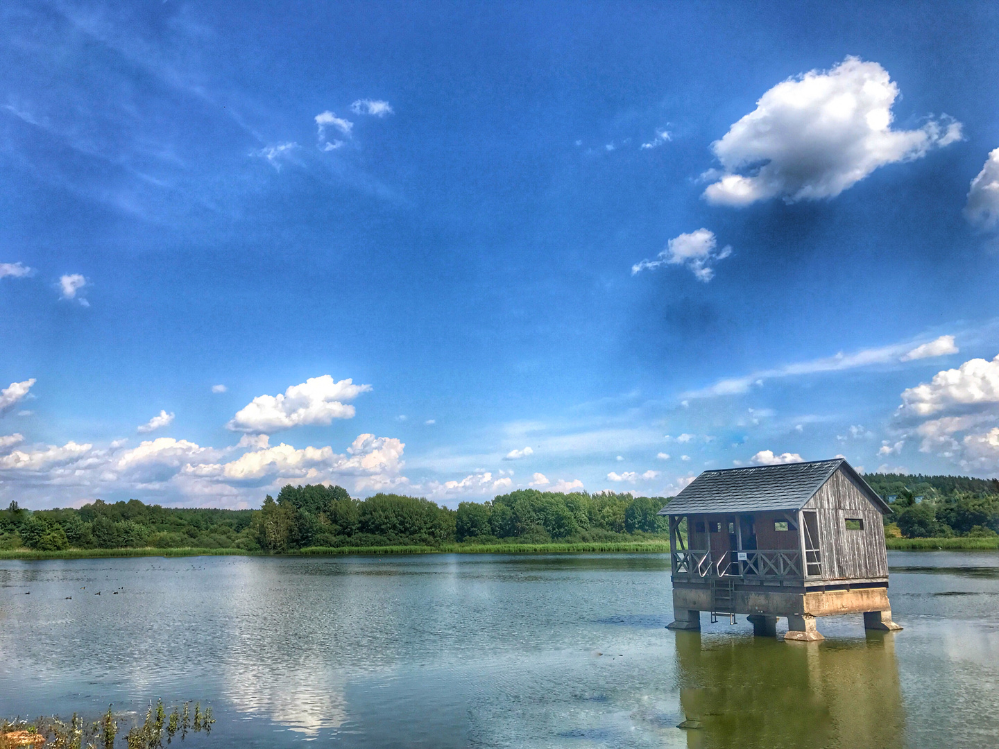 Haus am See Ilmenau