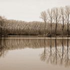 -Haus am See/Sepia-