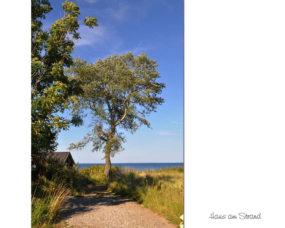 Haus am Strand