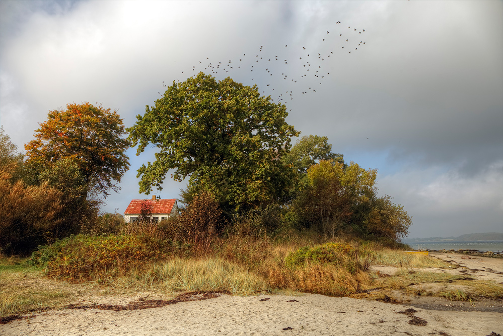 Haus am Strand Foto & Bild | europe, scandinavia, denmark ...